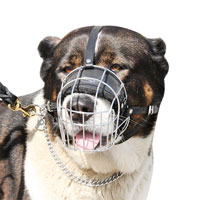 Wire Basket Dog Muzzle for Caucasian Shepherd