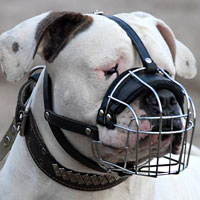 Wire Basket Dog Muzzle for American Bulldog