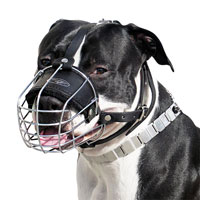 Wire Basket Dog Muzzle for Amstaff