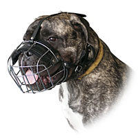 Wire Basket Dog Muzzle for Bullmastiff