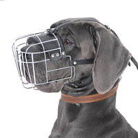 Wire Basket Dog Muzzle for Great Dane